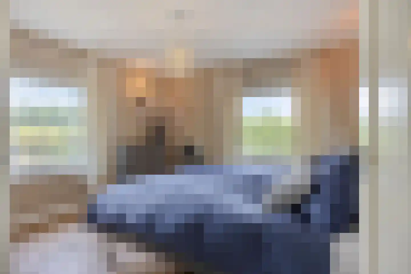 Fazantlaan 40 Mierlo thumbnail 36