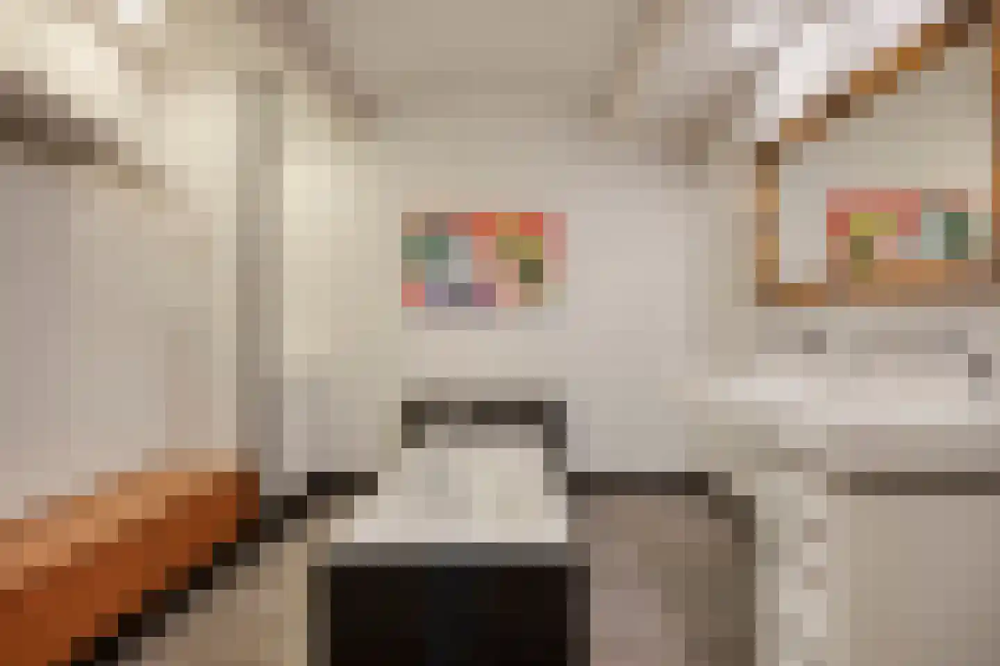 Fazantlaan 40 Mierlo thumbnail 37