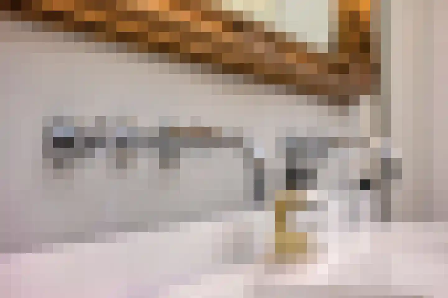 Fazantlaan 40 Mierlo thumbnail 41