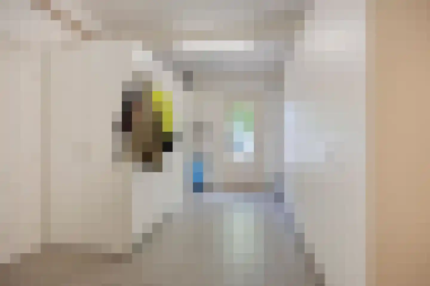 Fazantlaan 40 Mierlo thumbnail 42