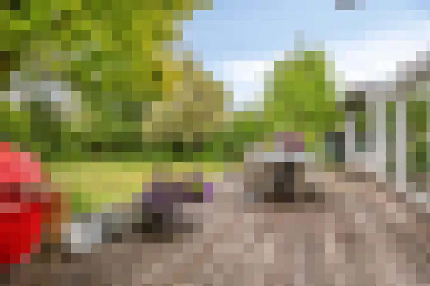 Fazantlaan 40 Mierlo thumbnail 46
