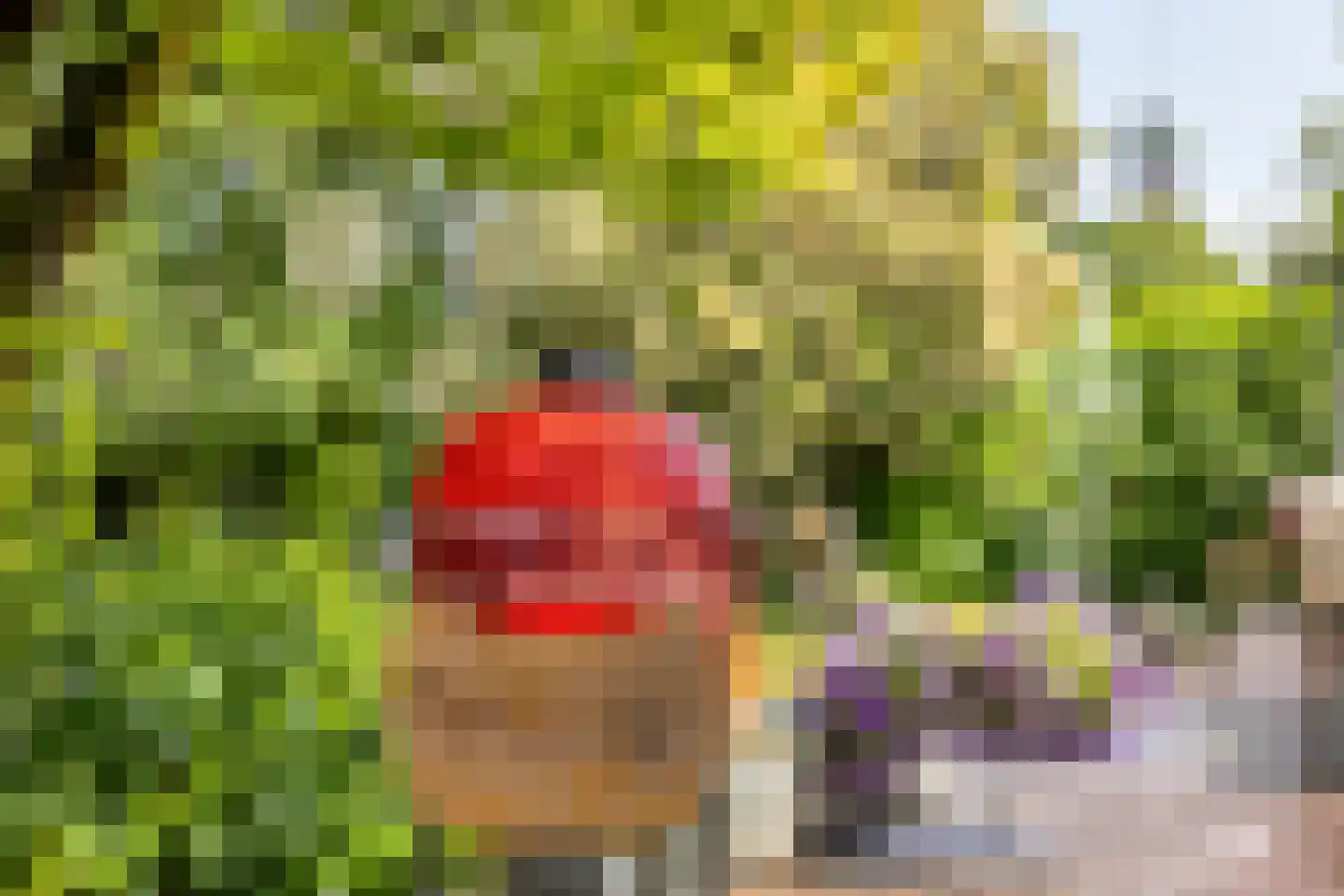 Fazantlaan 40 Mierlo thumbnail 47