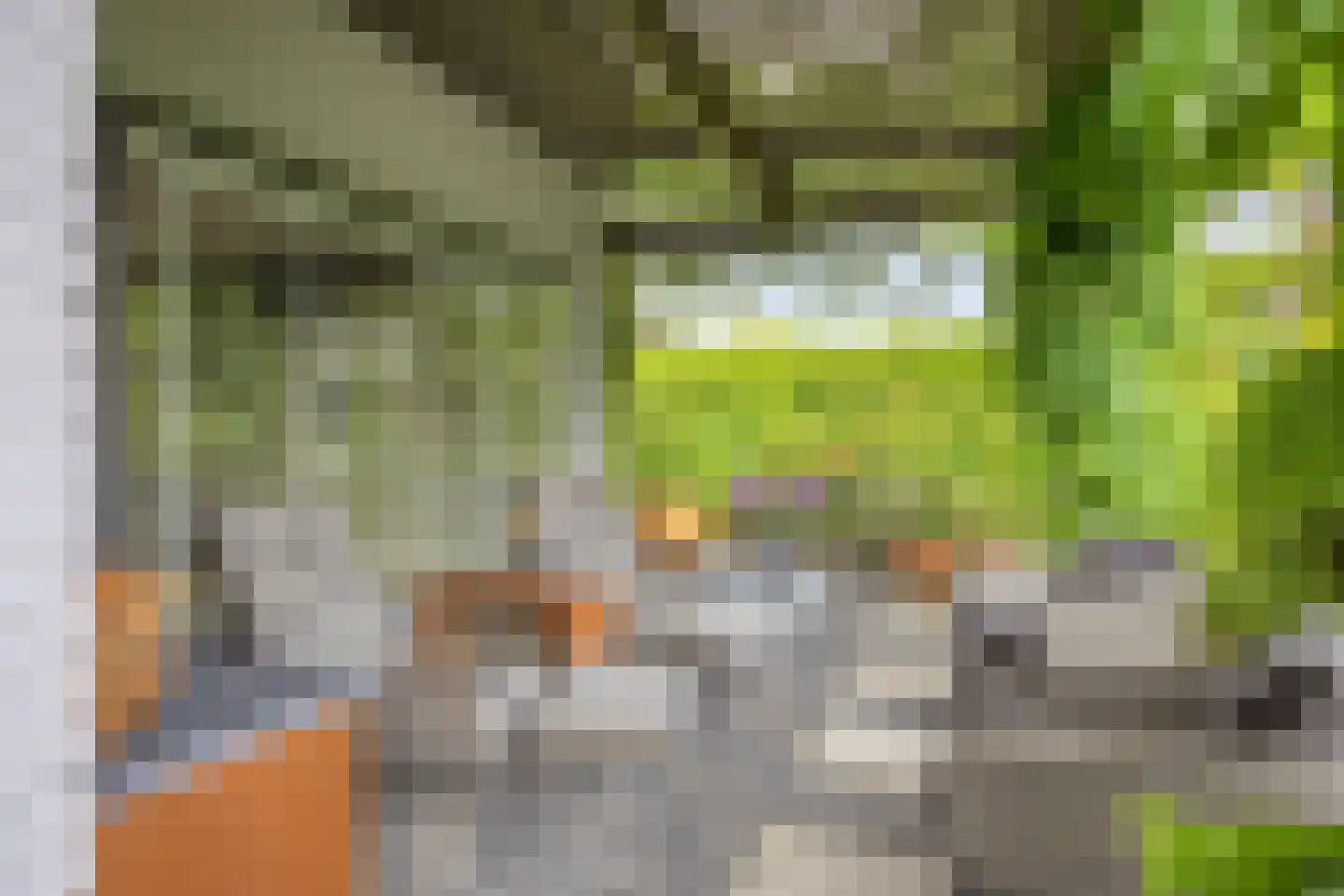 Fazantlaan 40 Mierlo thumbnail 62