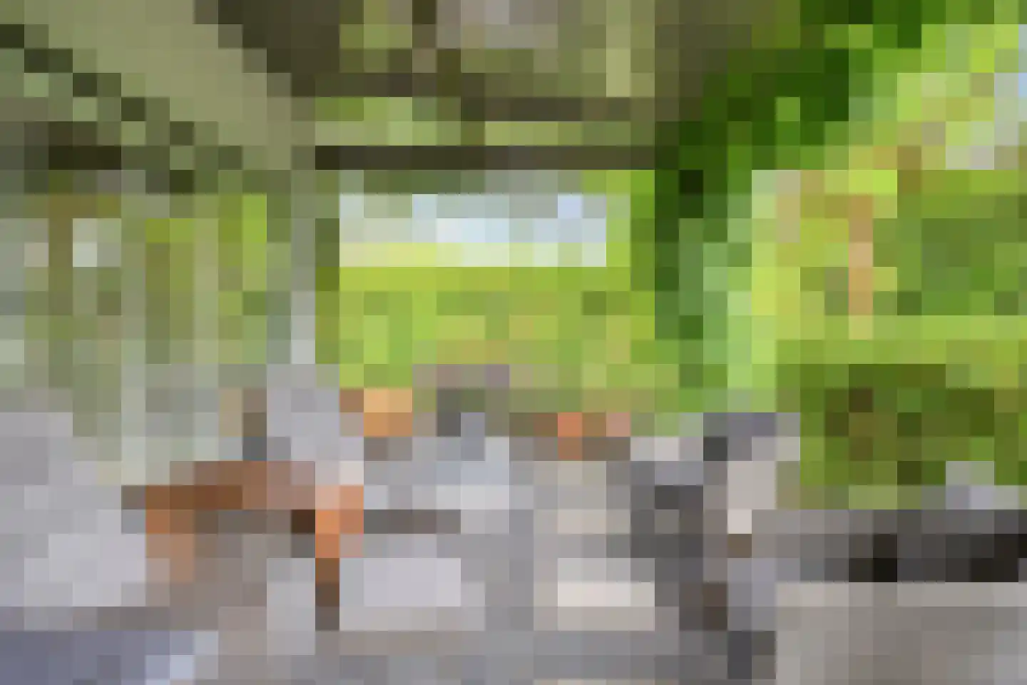 Fazantlaan 40 Mierlo thumbnail 65