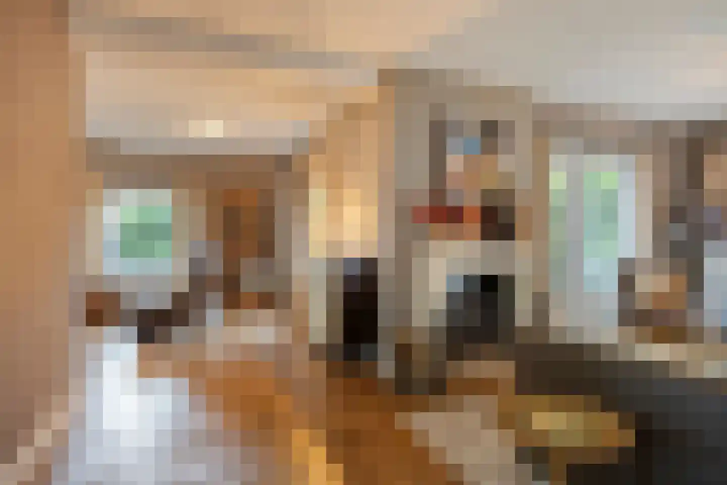 Fazantlaan 40 Mierlo thumbnail 8