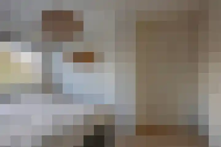 Fazantlaan 49 Beuningen Gld thumbnail 35