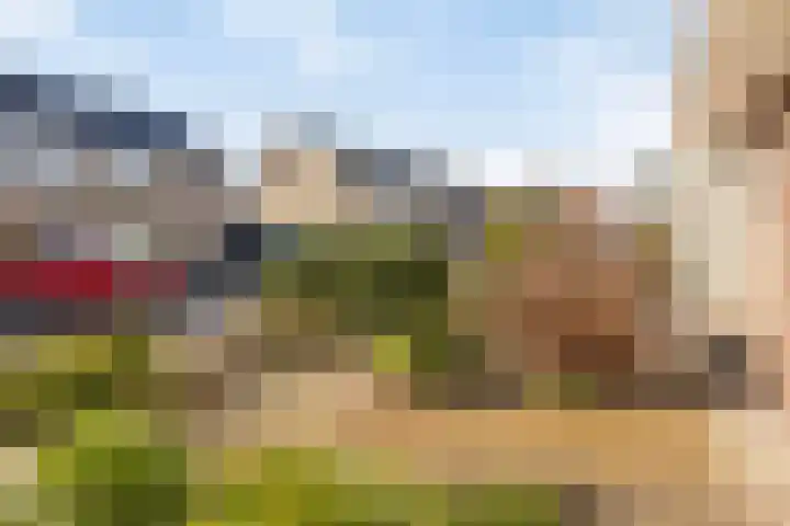 Fazantlaan 49 Beuningen Gld thumbnail 4