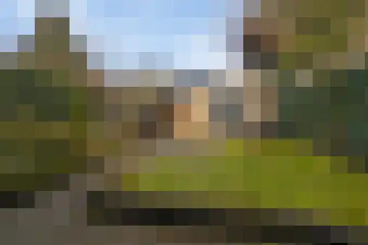 Fazantlaan 49 Beuningen Gld thumbnail 52