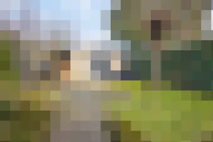 Fazantlaan 49 Beuningen Gld thumbnail 53