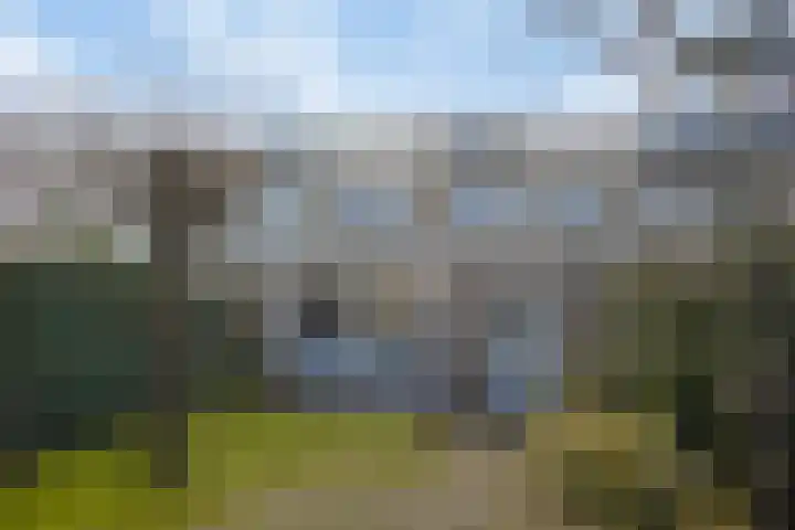 Fazantlaan 49 Beuningen Gld thumbnail 55