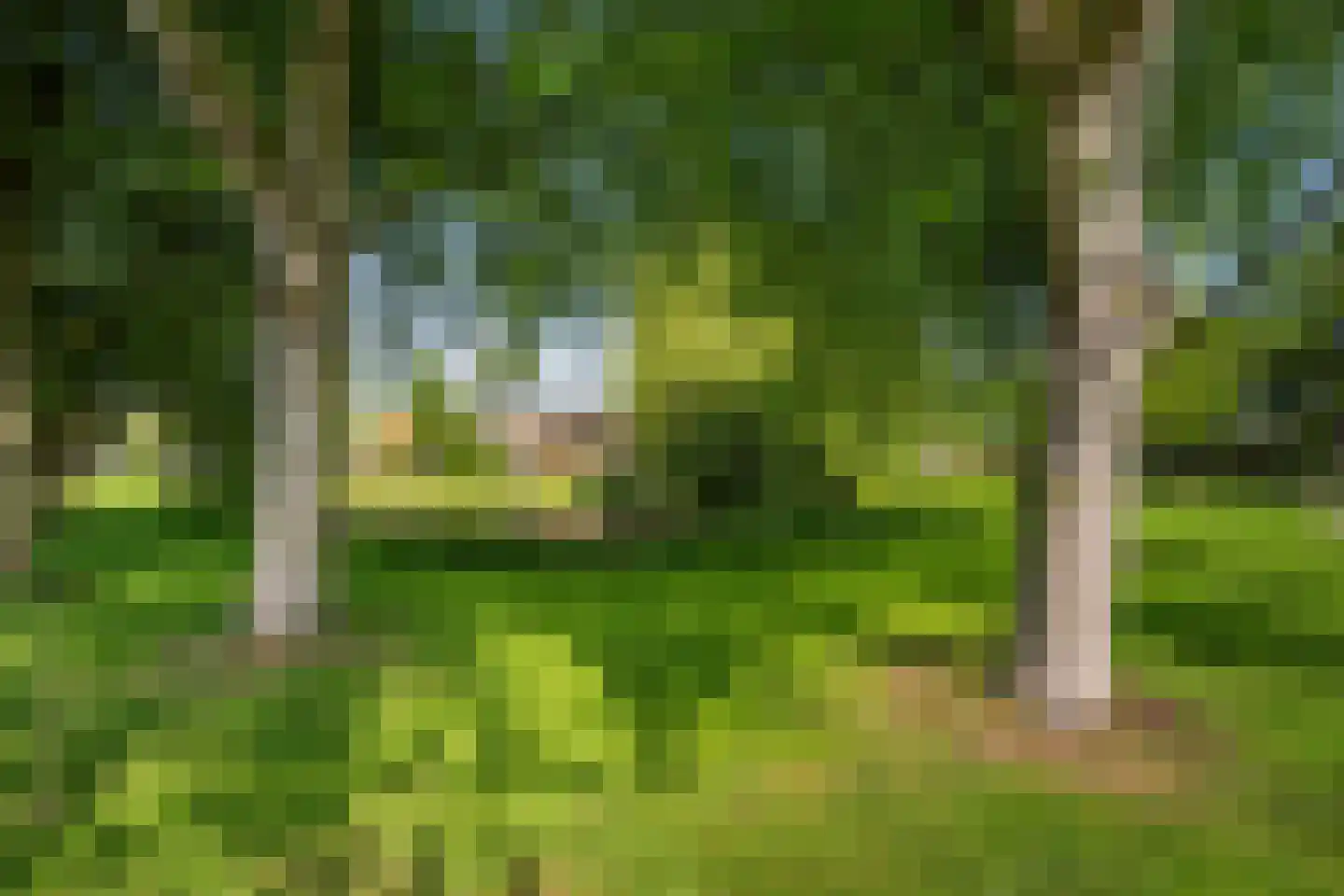 Fazantlaan 56 Schiedam thumbnail 25
