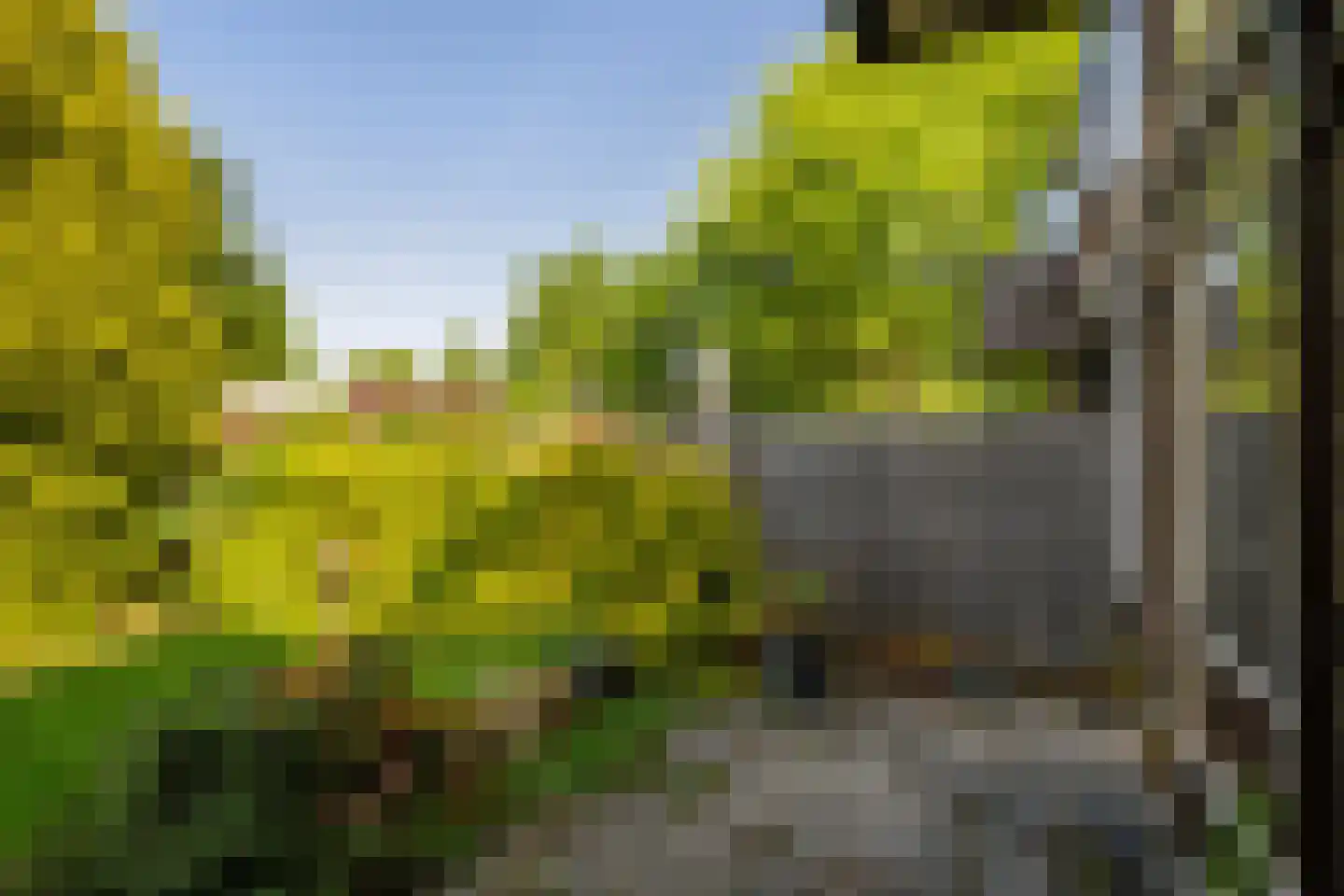 Fazantlaan 56 Schiedam thumbnail 8