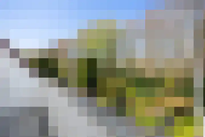Fazantlaan 6 Almere thumbnail 33
