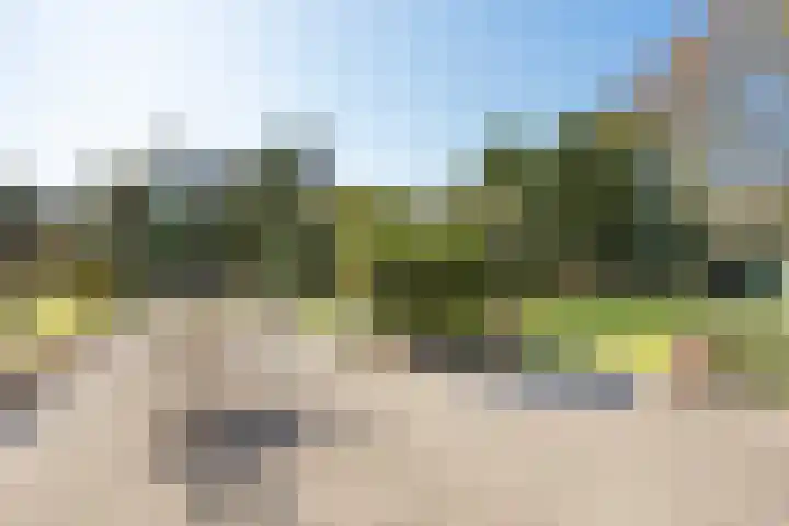 Fazantlaan 6 Almere thumbnail 42
