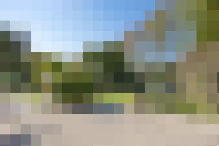 Fazantlaan 6 Almere thumbnail 43