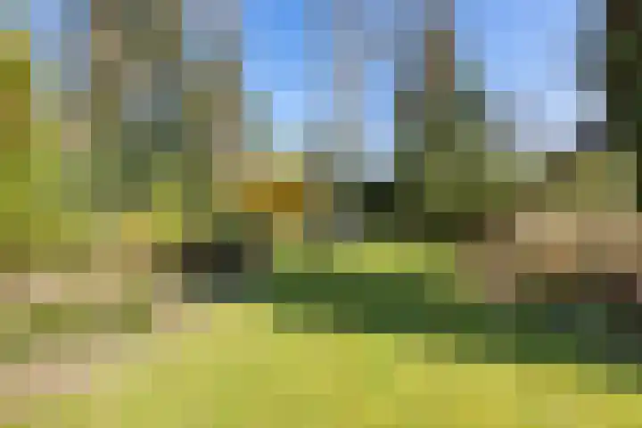 Fazantlaan 6 Almere thumbnail 46