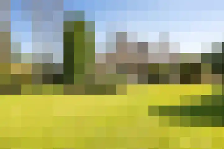 Fazantlaan 6 Almere thumbnail 48