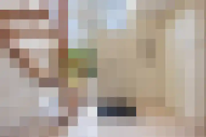 Fazantlaan 6 Almere thumbnail 9