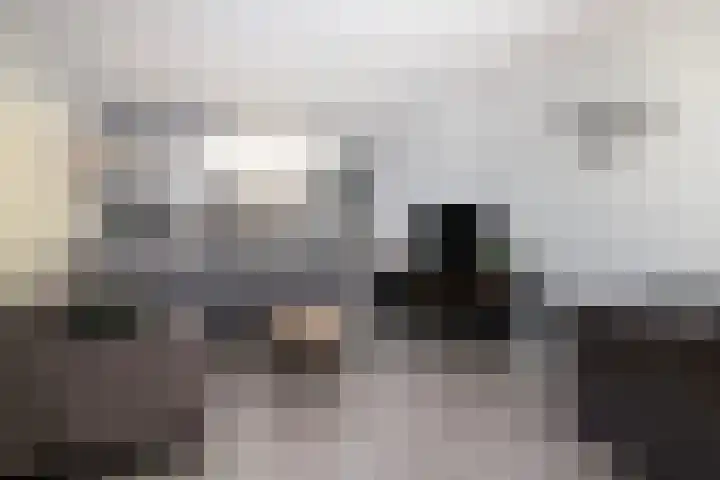 Fazantlaan 67 Dieren thumbnail 13