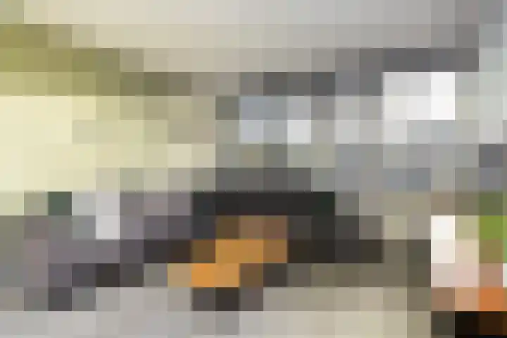 Fazantlaan 67 Dieren thumbnail 14