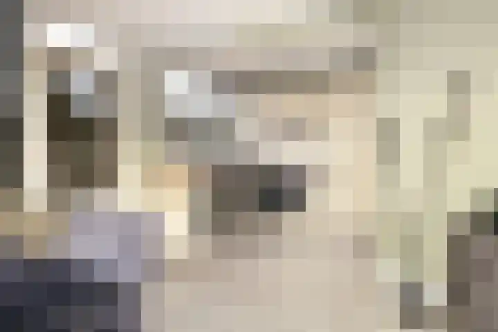 Fazantlaan 67 Dieren thumbnail 16