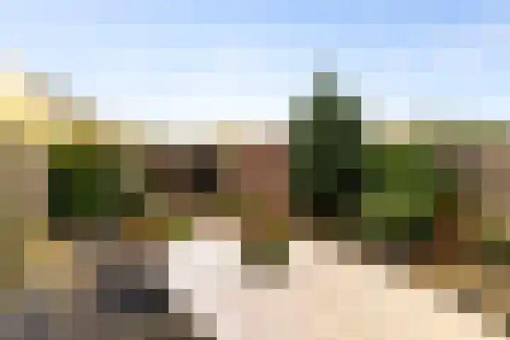 Fazantlaan 67 Dieren thumbnail 18