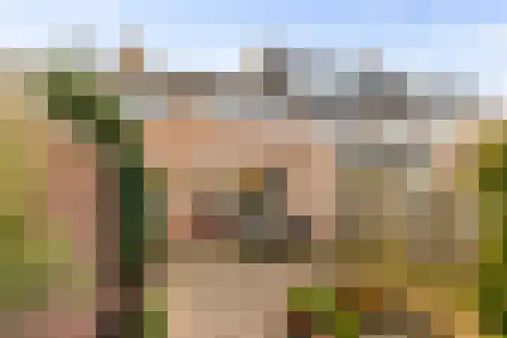 Fazantlaan 67 Dieren thumbnail 19