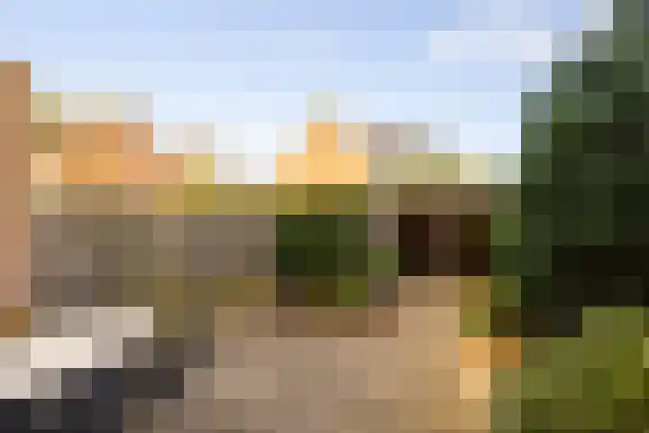 Fazantlaan 67 Dieren thumbnail 4