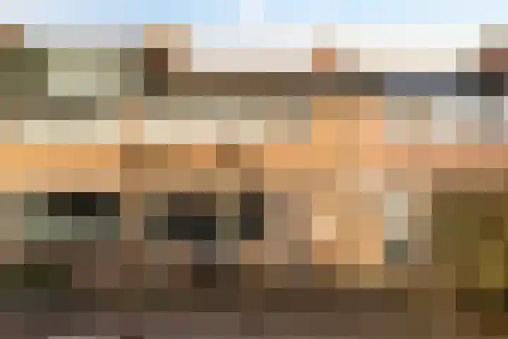Fazantlaan 67 Dieren thumbnail 6
