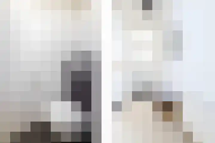 Fazantlaan 67 Dieren thumbnail 8