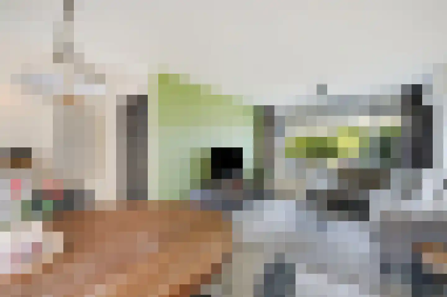 Fazantlaan 7 Dieren thumbnail 8