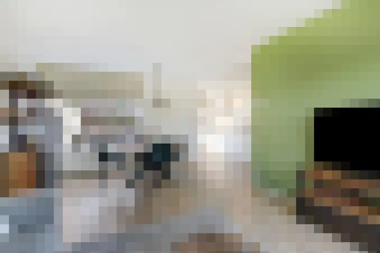 Fazantlaan 7 Dieren thumbnail 9