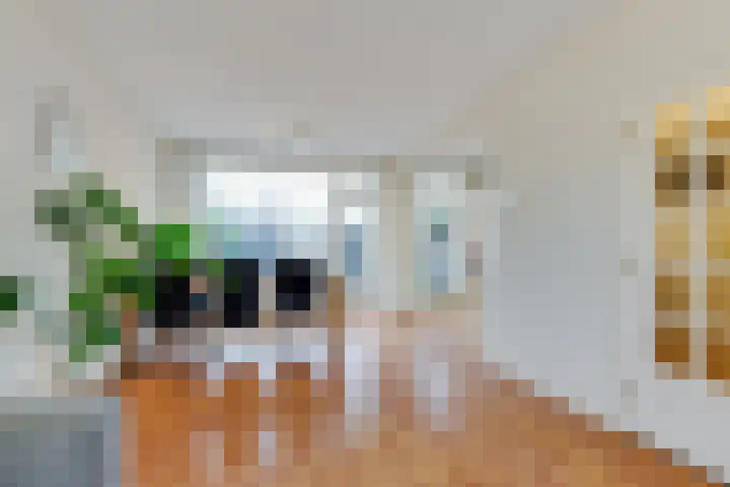 Fazantlaan 7 Leidschendam thumbnail 8