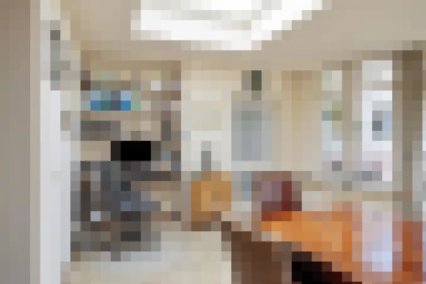 Fazantlaan 73 Budel thumbnail 11
