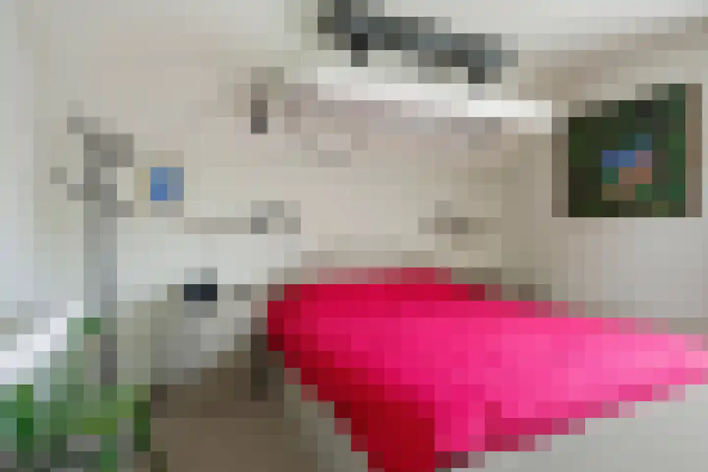 Fazantlaan 73 Budel thumbnail 15