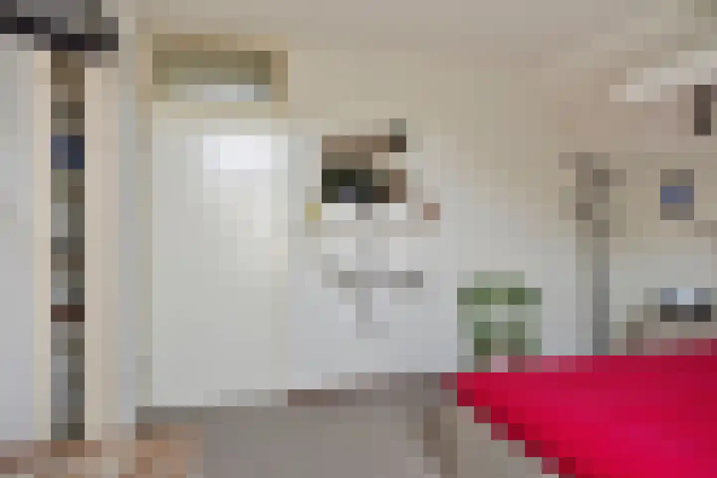 Fazantlaan 73 Budel thumbnail 16