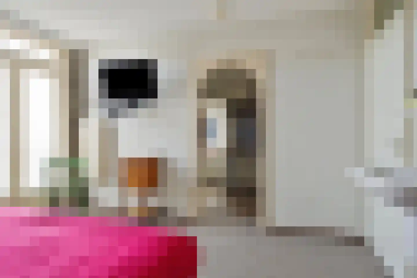 Fazantlaan 73 Budel thumbnail 17