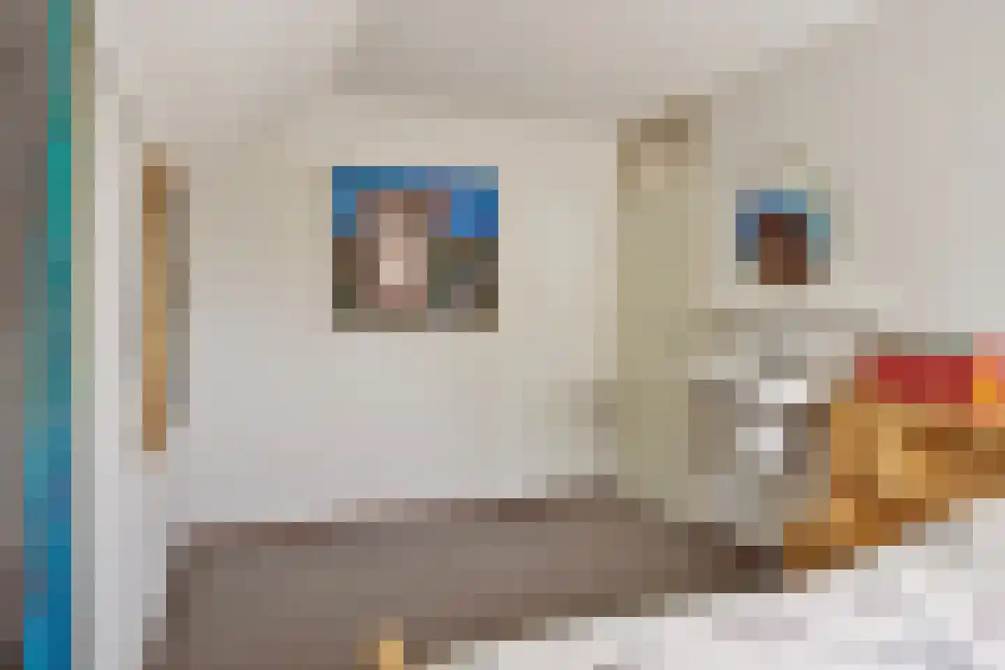 Fazantlaan 73 Budel thumbnail 20