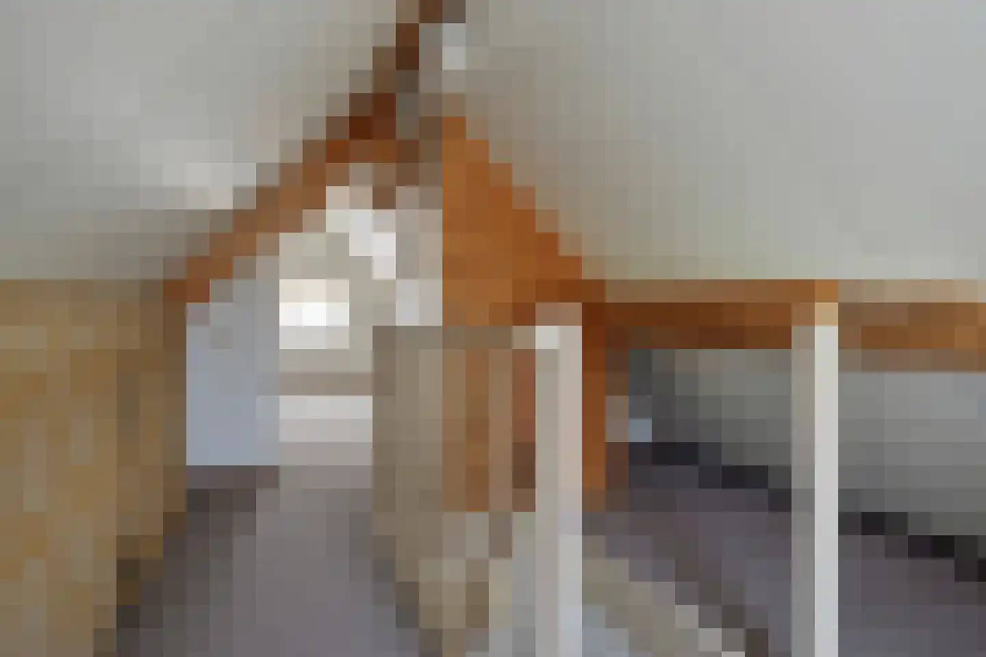 Fazantlaan 73 Budel thumbnail 23