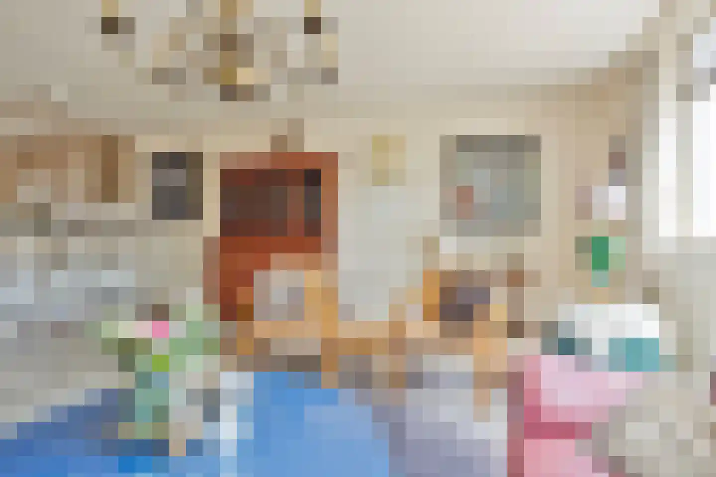 Fazantlaan 73 Budel foto 3
