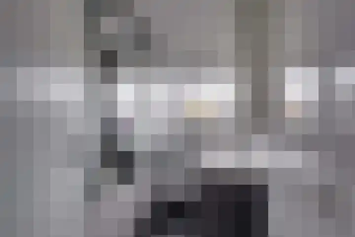 Fazantlaan 89 Dieren thumbnail 16