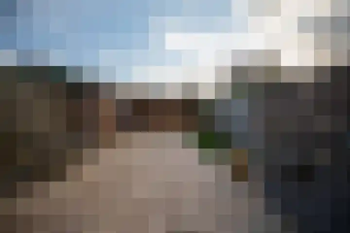 Fazantlaan 89 Dieren thumbnail 22