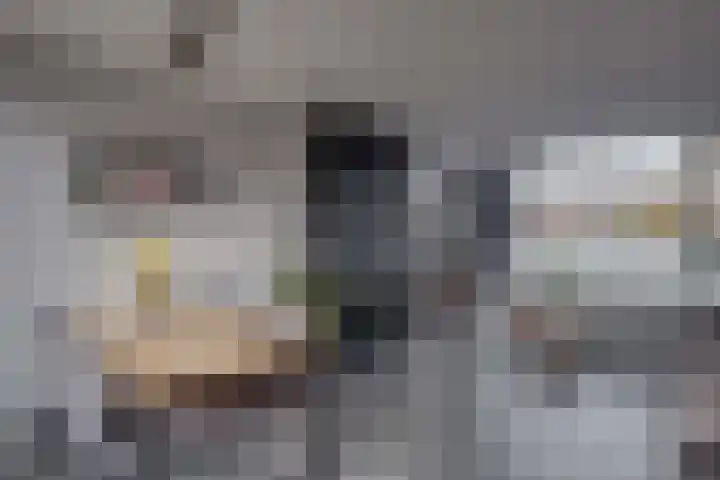 Fazantlaan 89 Dieren thumbnail 6