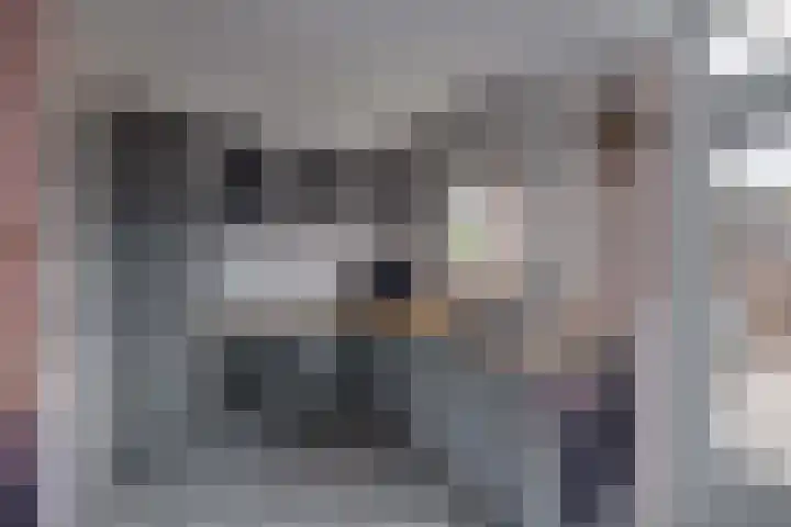 Fazantlaan 89 Dieren thumbnail 8