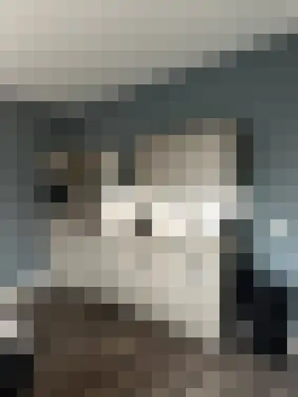 Fazantlaan Eindhoven thumbnail 4