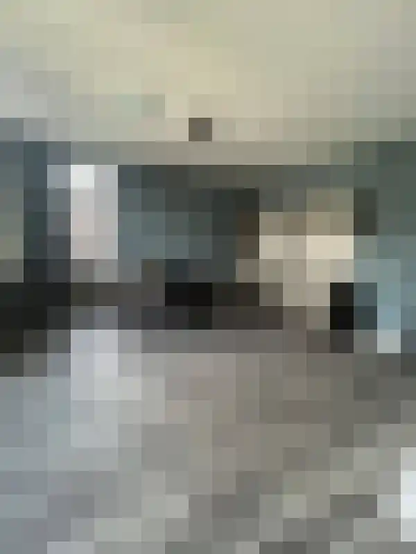 Fazantlaan Eindhoven thumbnail 5