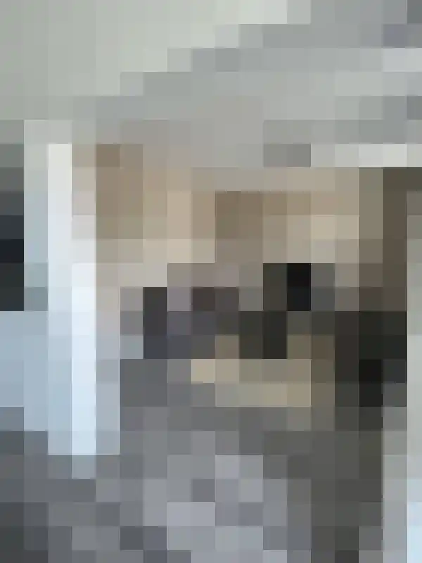 Fazantlaan Eindhoven thumbnail 6