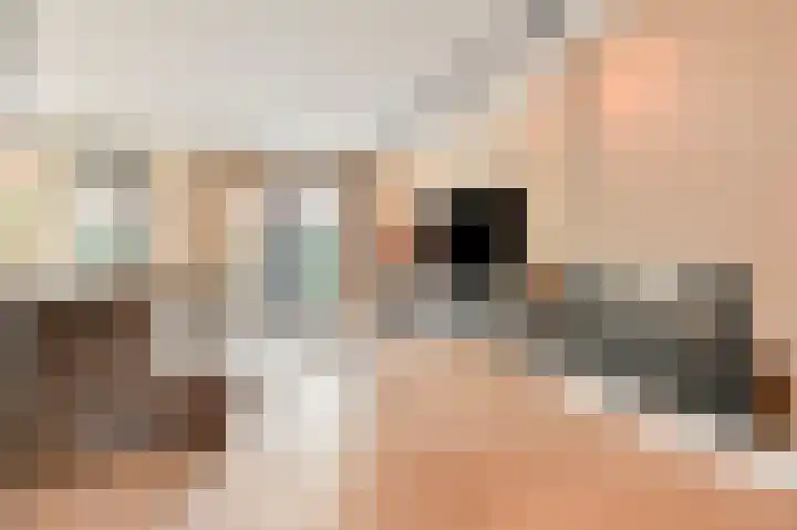 Fazantlande 1 Pijnacker thumbnail 10
