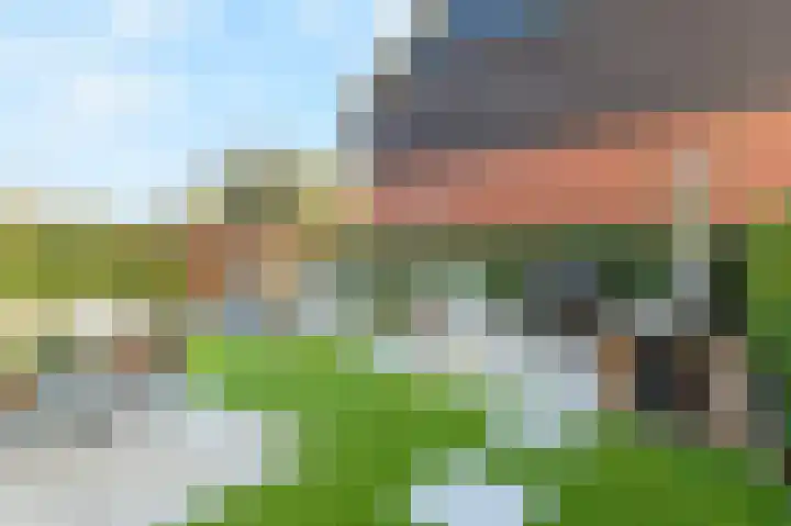 Fazantlande 1 Pijnacker thumbnail 13