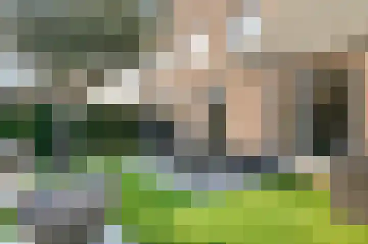 Fazantlande 1 Pijnacker thumbnail 18